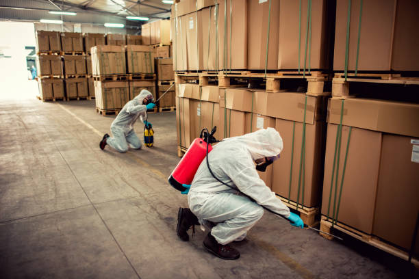 Best Termite Control Services  in Thomasville, GA
