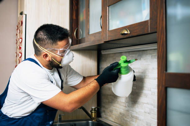 Best Termite Control Services  in Thomasville, GA