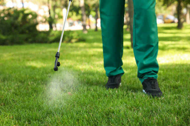 Best Flea Control Services  in Thomasville, GA