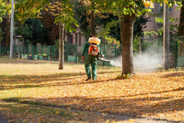 Best Local Pest Control Services  in Thomasville, GA