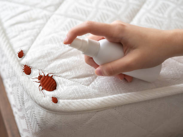 Best Affordable Pest Control Services  in Thomasville, GA