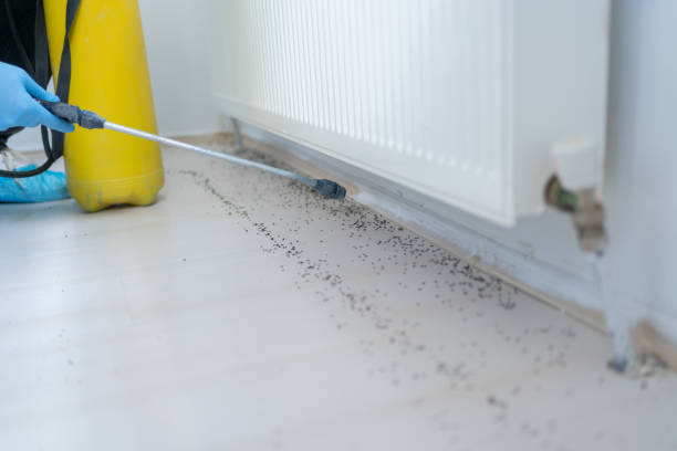 Insect Control in Thomasville, GA