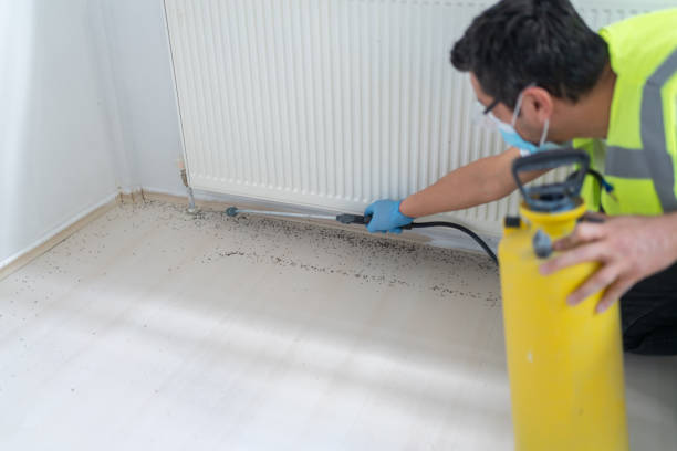Best Affordable Pest Control Services  in Thomasville, GA
